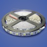 Светодиодная лента открытая SMD 5050 60LED/mIP, 12 V, холодный белый Светодиодная лента открытая SMD 5050 60LED/mIP, 12 V, холодный белый